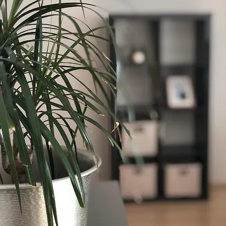 Moderni Apartman V Centru Mesta 아파트 브르노